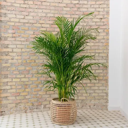 Urbe10 Alcazaba Premium 아파트 말라가